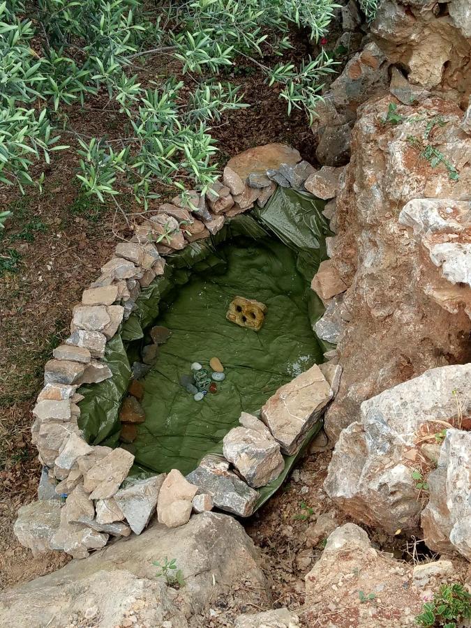 "Villa Kastania" Melidoni, Chania, Crete エクステリア 写真