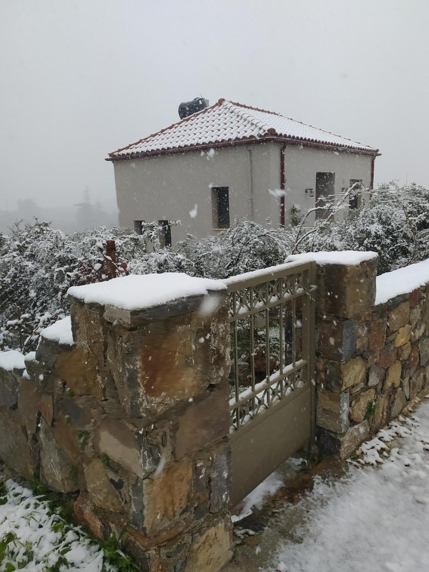 "Villa Kastania" Melidoni, Chania, Crete エクステリア 写真