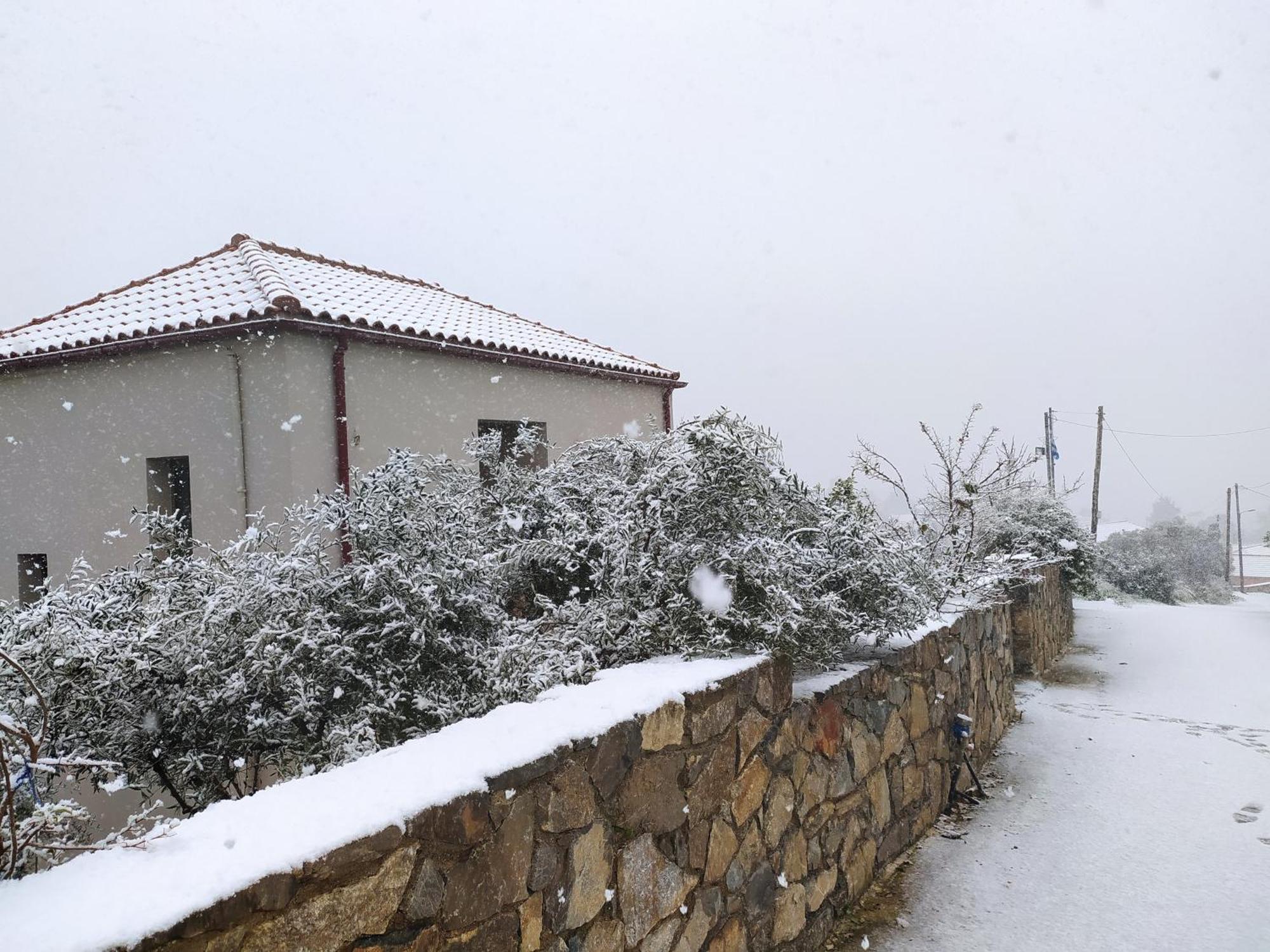 "Villa Kastania" Melidoni, Chania, Crete エクステリア 写真